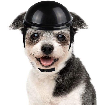 Dog Helmets